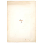 THE SPANISH TRAVELER THROUGH MOROCCO, DON JOAQUÍN GATELL (EL KAID ISMAEL). Gavira, J.