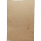 LA POLÍTICA DE FIN DE SIGLO, A TRAVÉS DE LA PRENSA BARCELONESA DE LA ÉPOCA. Voltes Bou, Pedro