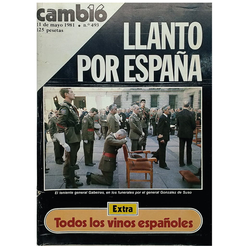 CAMBIO 16 Nº 493: LLANTO POR ESPAÑA