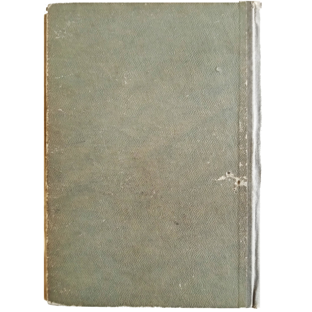 DICCIONARIO GRIEGO-ESPAÑOL CON SUPLEMENTO DE FORMAS VERBALES Y UN APÉNDICE GRAMATICAL