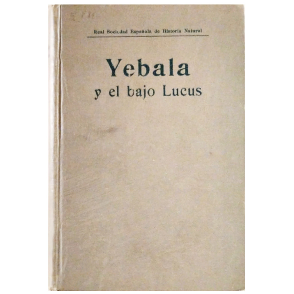 YEBALA Y EL BAJO LUCUS. Varios autores