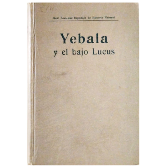 YEBALA Y EL BAJO LUCUS. Varios autores