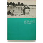 LA CAMPAÑA DE ANDALUCÍA. Martínez Bande, José Manuel