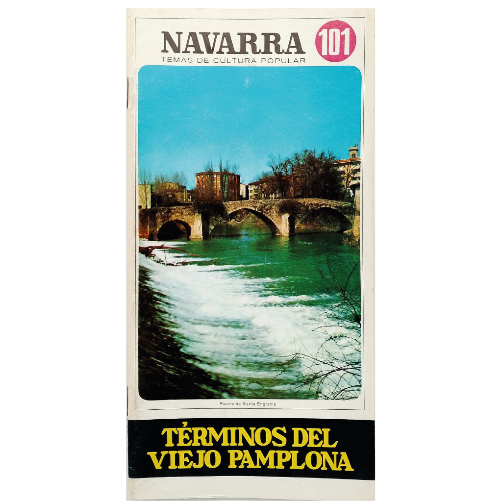 NAVARRA TEMAS DE CULTURA POPULAR Nº 101: TÉRMINOS DEL VIEJO PAMPLONA. Baleztena Abarrategui, Javier