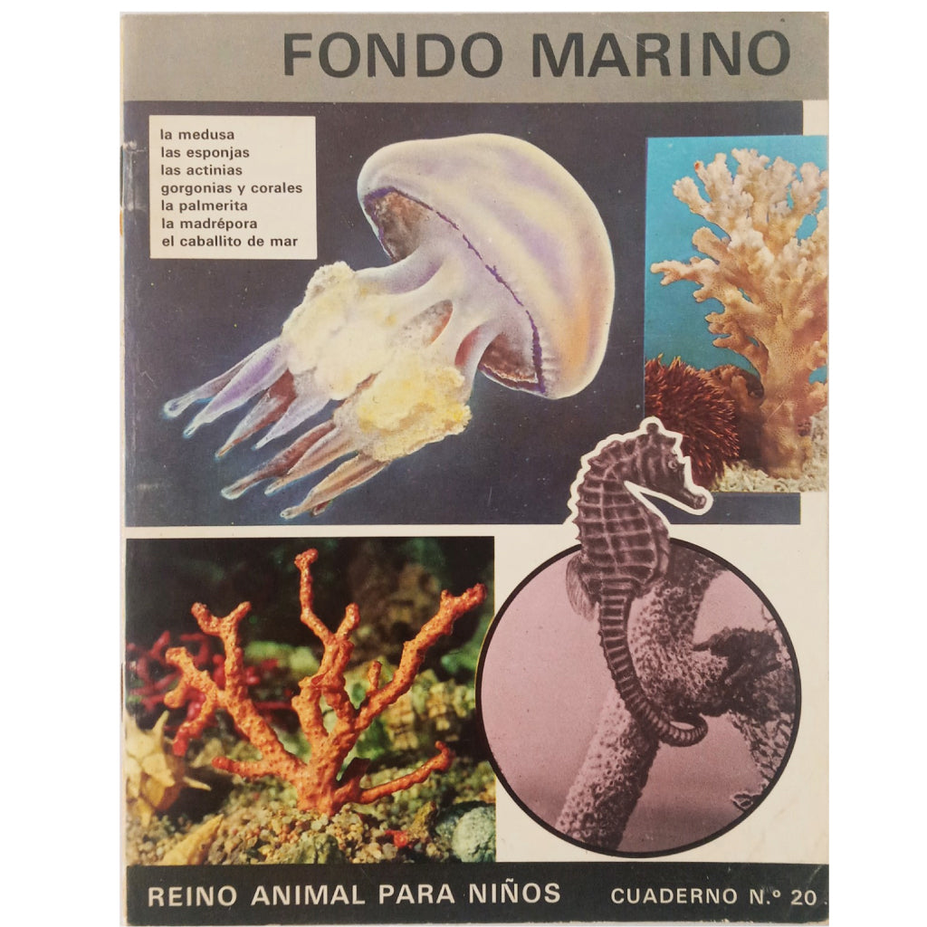 REINO ANIMAL PARA NIÑOS Nº 20: FONDO MARINO. Pons, Antonio