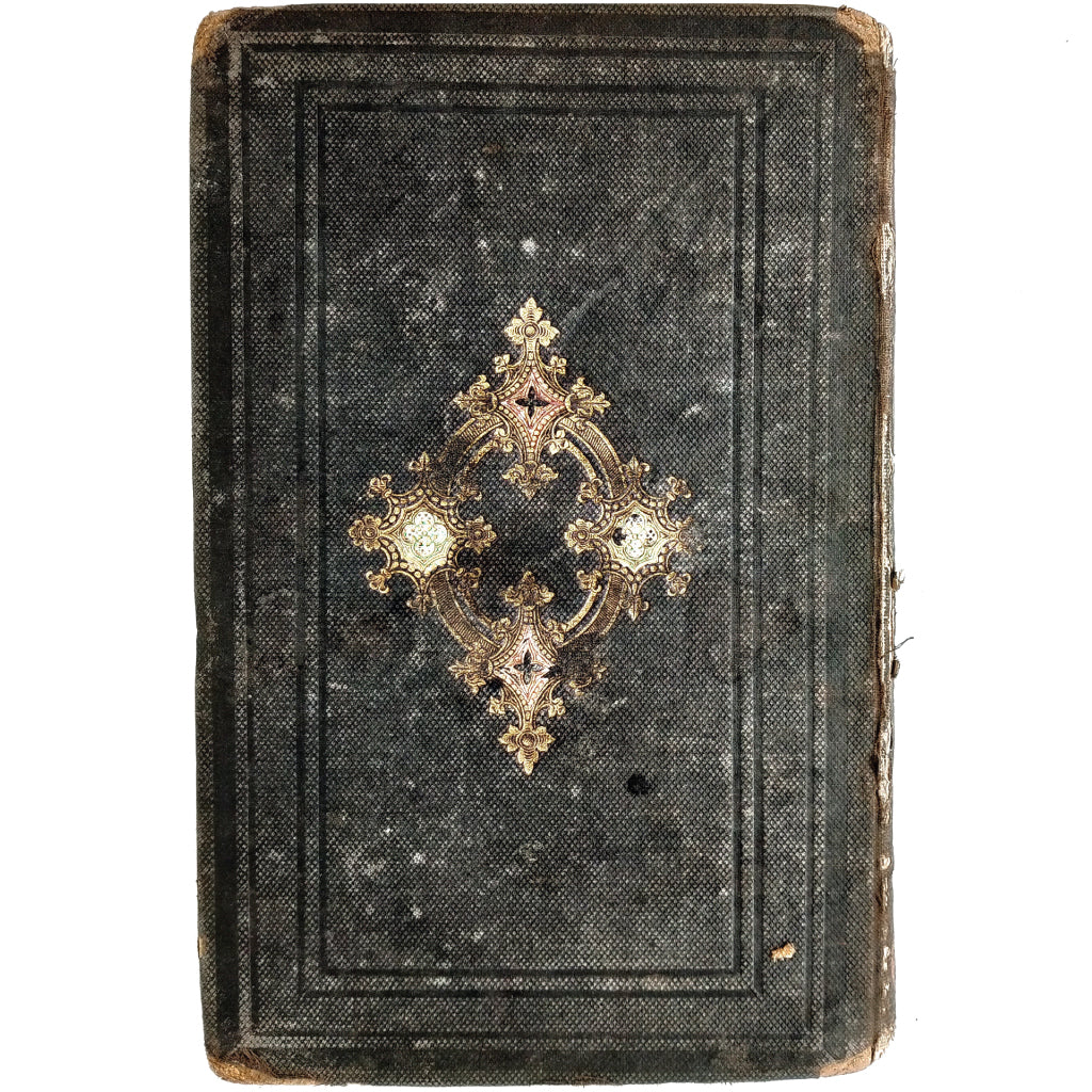 QUINZE PETITS CONTES. Bertin