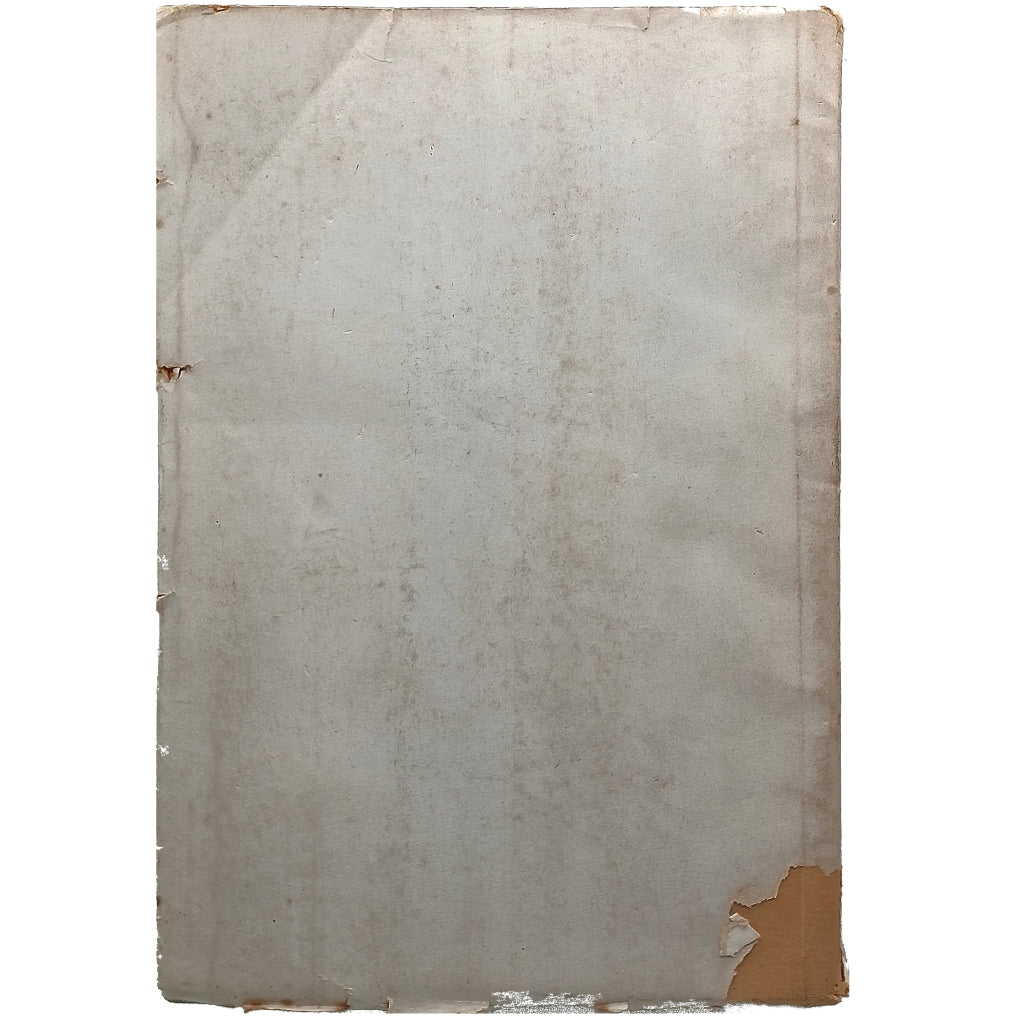 NIE WIEDER KRIEG UND DEN RHEIN. Rose, Franz