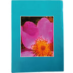 ANUARIO DEL REAL COLEGIO DE ALFONSO XII. 1993-1994. Bullón Pastor, Eutimio (Coordinador)