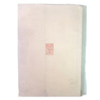 TAMAÑO, DENSIDAD Y CRECIMIENTO DE LA POBLACION EN ESPAÑA 1900-1960. Diez Nicolás, Juan