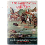 LA MARAVILLOSA VIDA DE LOS ANIMALES. Una Zoología para todos. France, R. H.