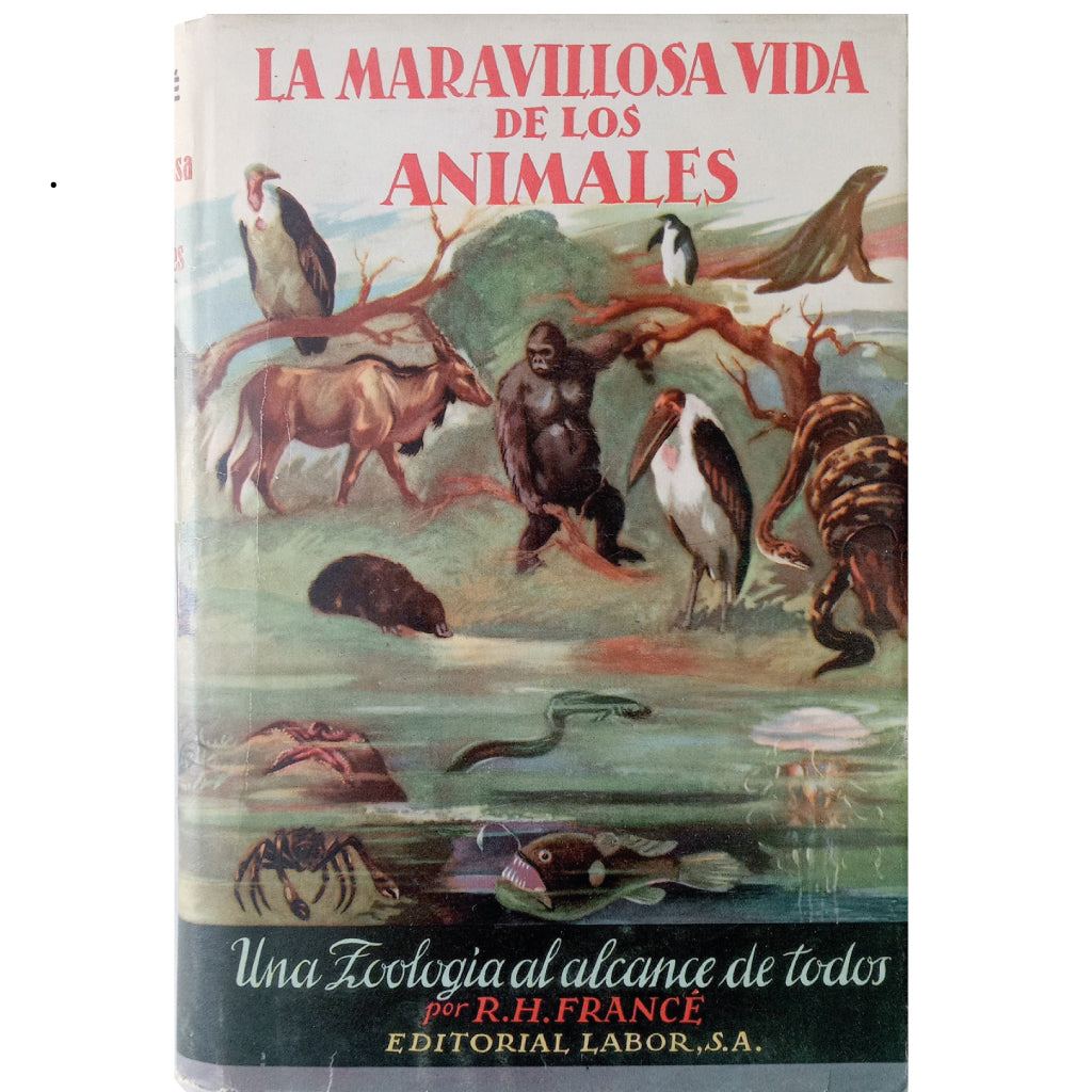 LA MARAVILLOSA VIDA DE LOS ANIMALES. Una Zoología para todos. France, R. H.