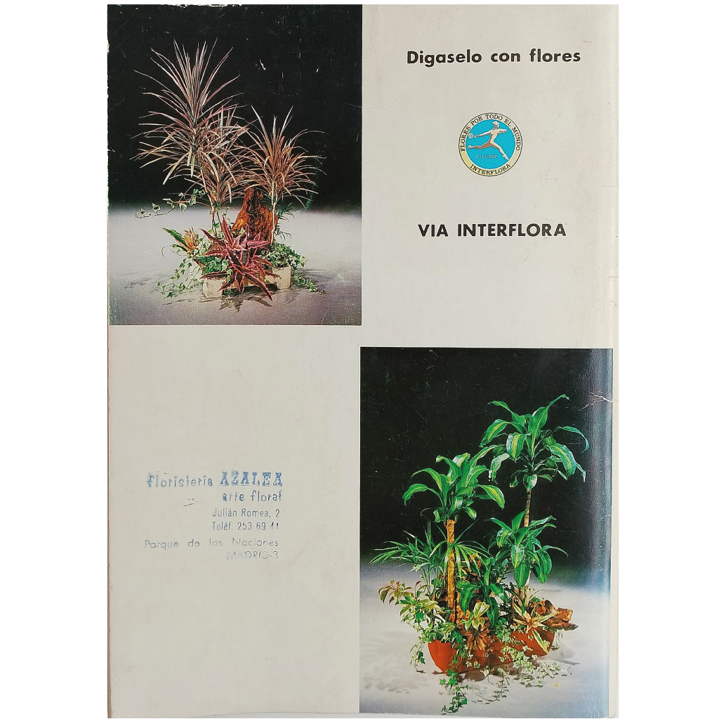 PLANTAS DE INTERIOR. Guía Interflora