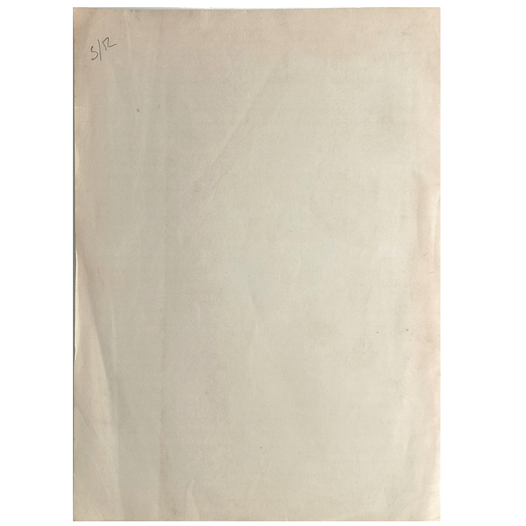 EL VOLCÁN Y EL MALPAÍS DE LA CORONA. LA CUEVA DE LOS VERDES Y LOS JAMEOS. Bravo, Telesforo