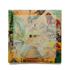 L'ESCOLA I ELS MESTRES 1857-1970. Varios autores