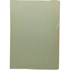 ESTRATEGIA PARA UNAS EXTRAÑAS ELECCIONES. Masso Tarruella, Ramón