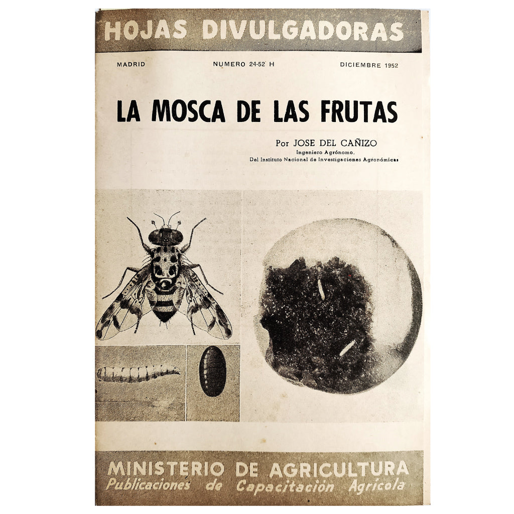 LA MOSCA DE LA FRUTA. Cañizo, José del