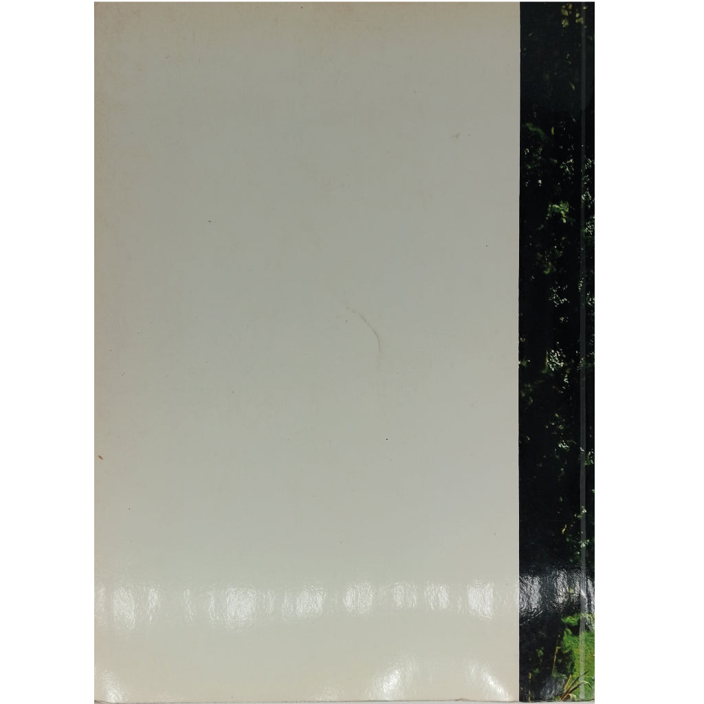 TARRAGONA Y SU COSTA DORADA. Puig- Ferran, J./ Campaña, A.