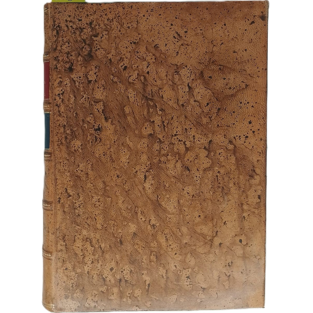 BOLETÍN DE LA SOCIEDAD ESPAÑOLA DE HISTORIA NATURAL. Tomo XXXII. Año 1932