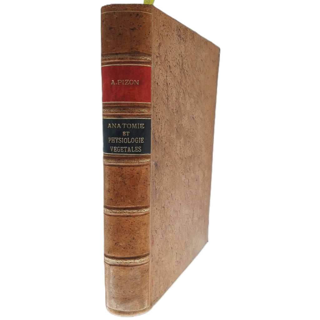 ANATOMIE ET PHYSIOLOGIE VEGETALES. Pizon, Antoine