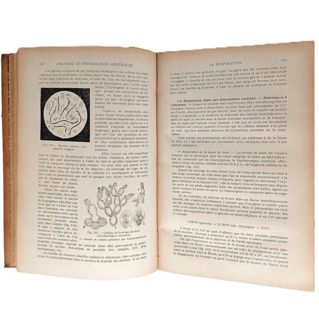 ANATOMIE ET PHYSIOLOGIE VEGETALES. Pizon, Antoine
