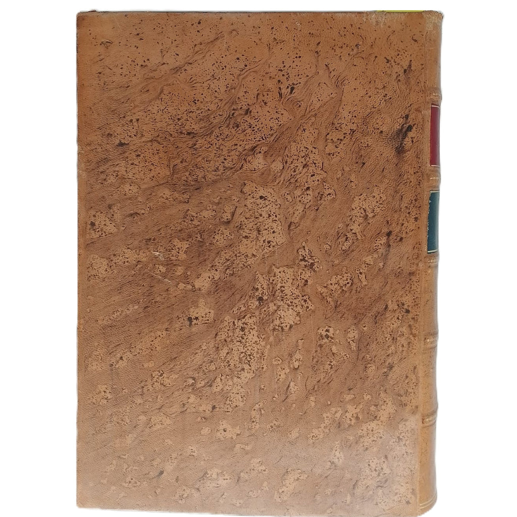 BOLETÍN DE LA SOCIEDAD ESPAÑOLA DE HISTORIA NATURAL. Tomo XXXI. Año 1931