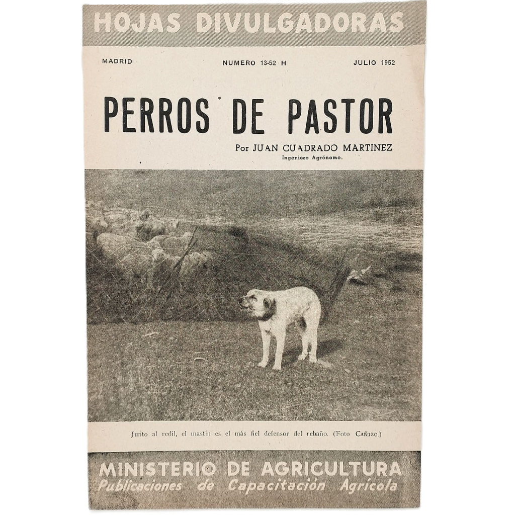 PERROS DE PASTOR. Cuadrado Martínez, Juan