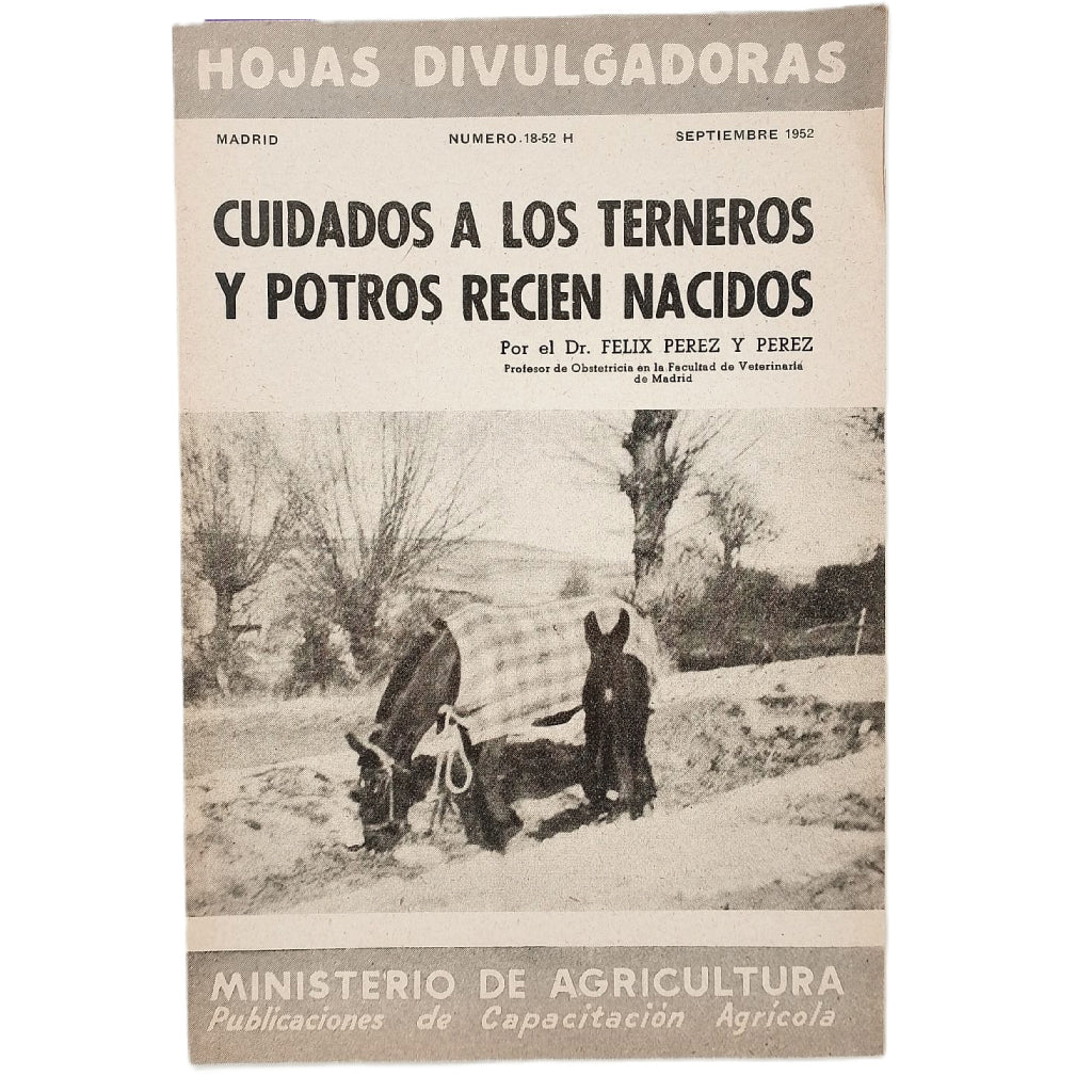 CUIDADOS A LOS TERNEROS Y POTROS RECIÉN NACIDOS. Pérez y Pérez, Félix