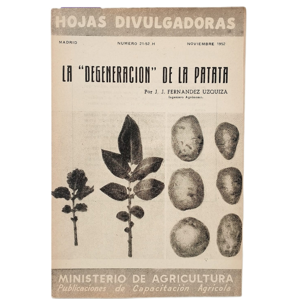 LA DEGENERACIÓN DE LA PATATA. Fernández Uzquiza, J. J.