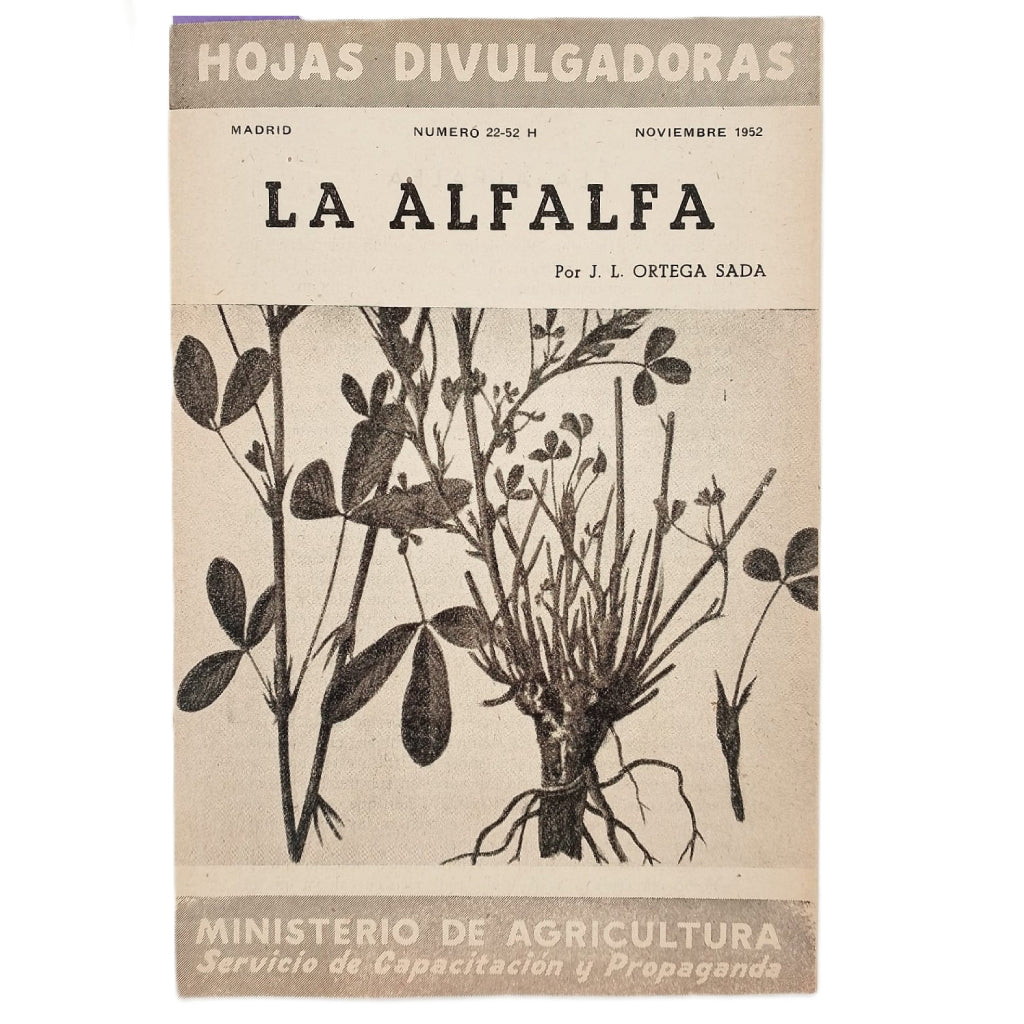 La Alfalfa - J. L. Ortega Sada