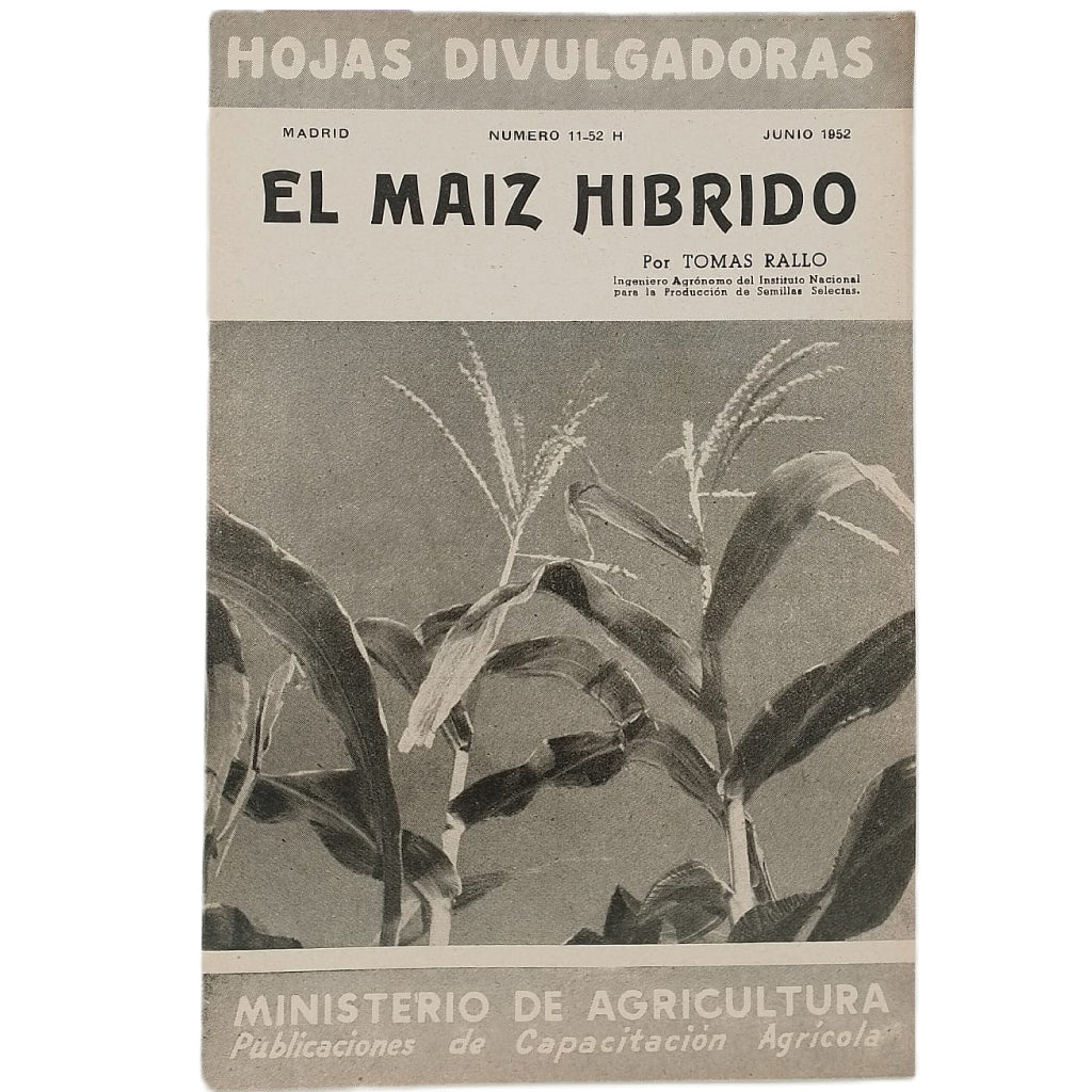 EL MAIZ HÍBRIDO. Rallo, Tomás