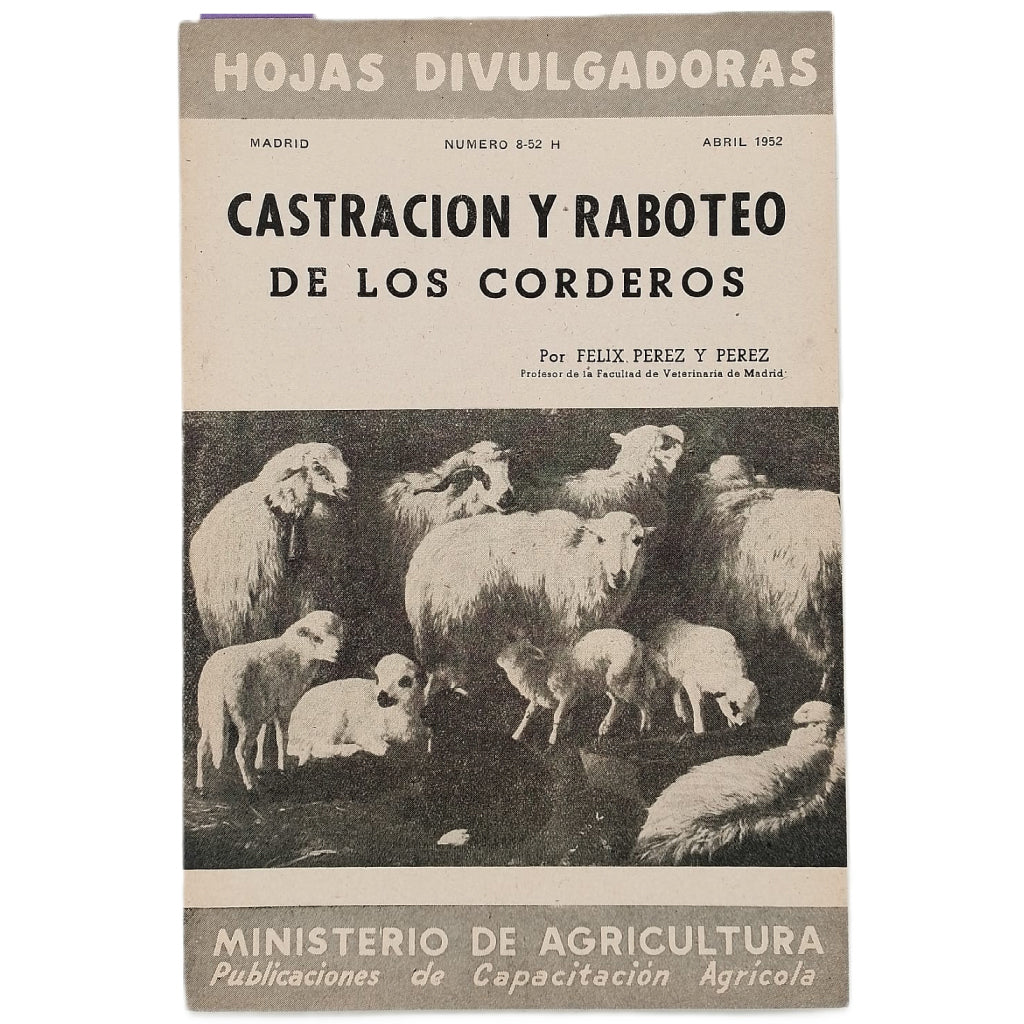 CASTRACIÓN Y RABOTEO DE LOS CORDEROS. Pérez y Pérez, Félix