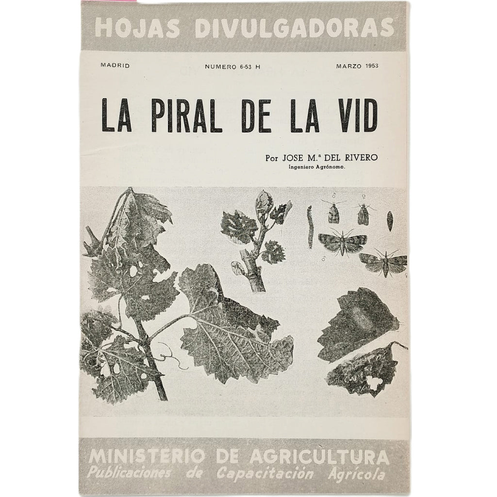 LA PIRAL DE LA VID. Rivero, José Mª del