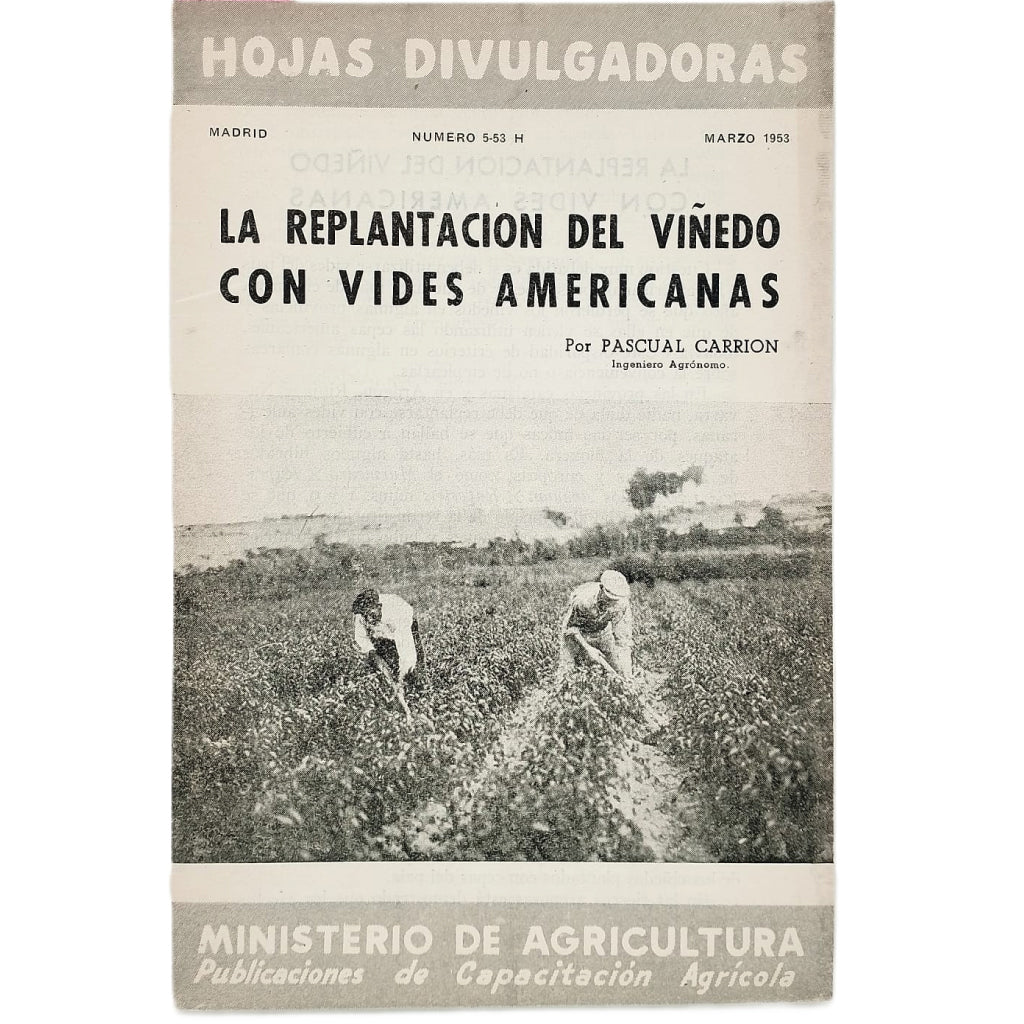 LA REPLANTACIÓN DEL VIÑEDO CON VIDES AMERICANAS. Carrión, Pascual
