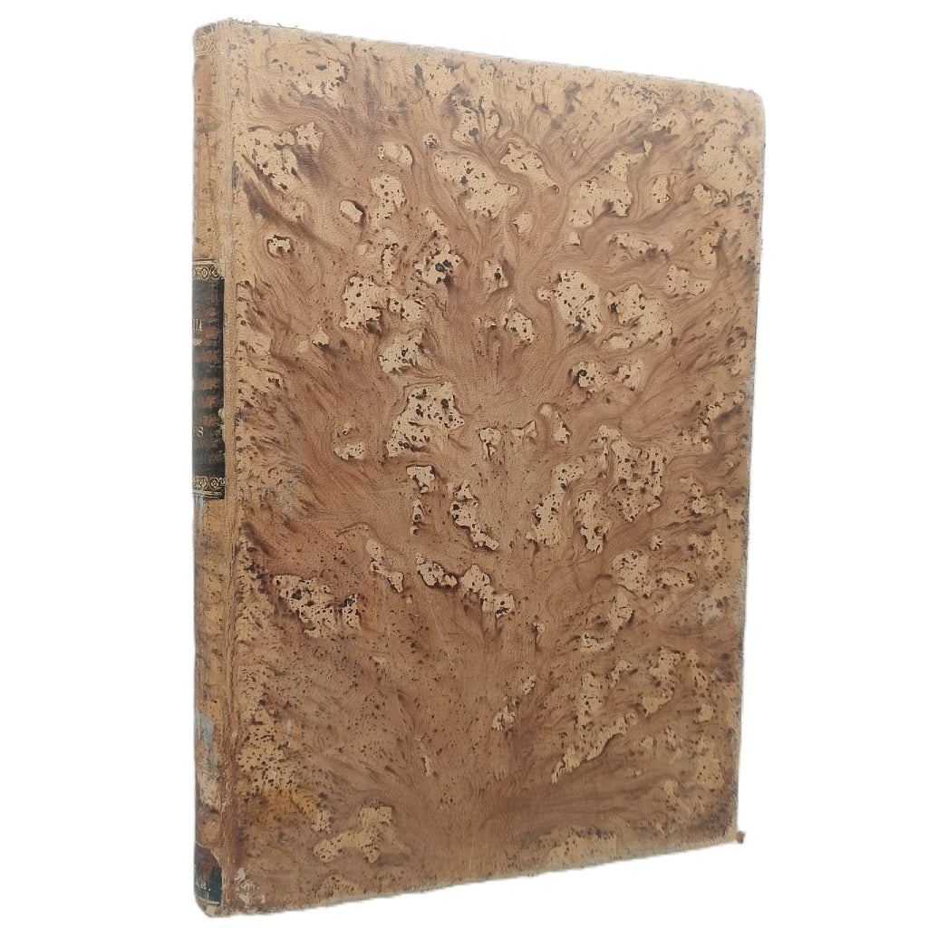 TENEDURÍA DE LIBROS. Goytre y Blasco, Blas