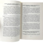EL PODER CONSTITUYENTE. Ensayo sobre las alternativas de la modernidad. Negri, Antonio