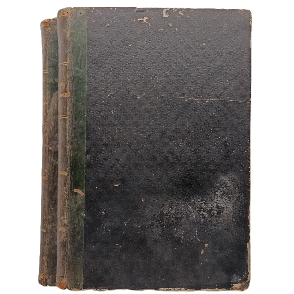 LA PLEGARIA DE UNA MADRE (Consuelos de la religión). Tomos I y II. Puerta Vizcaíno, Juan de la