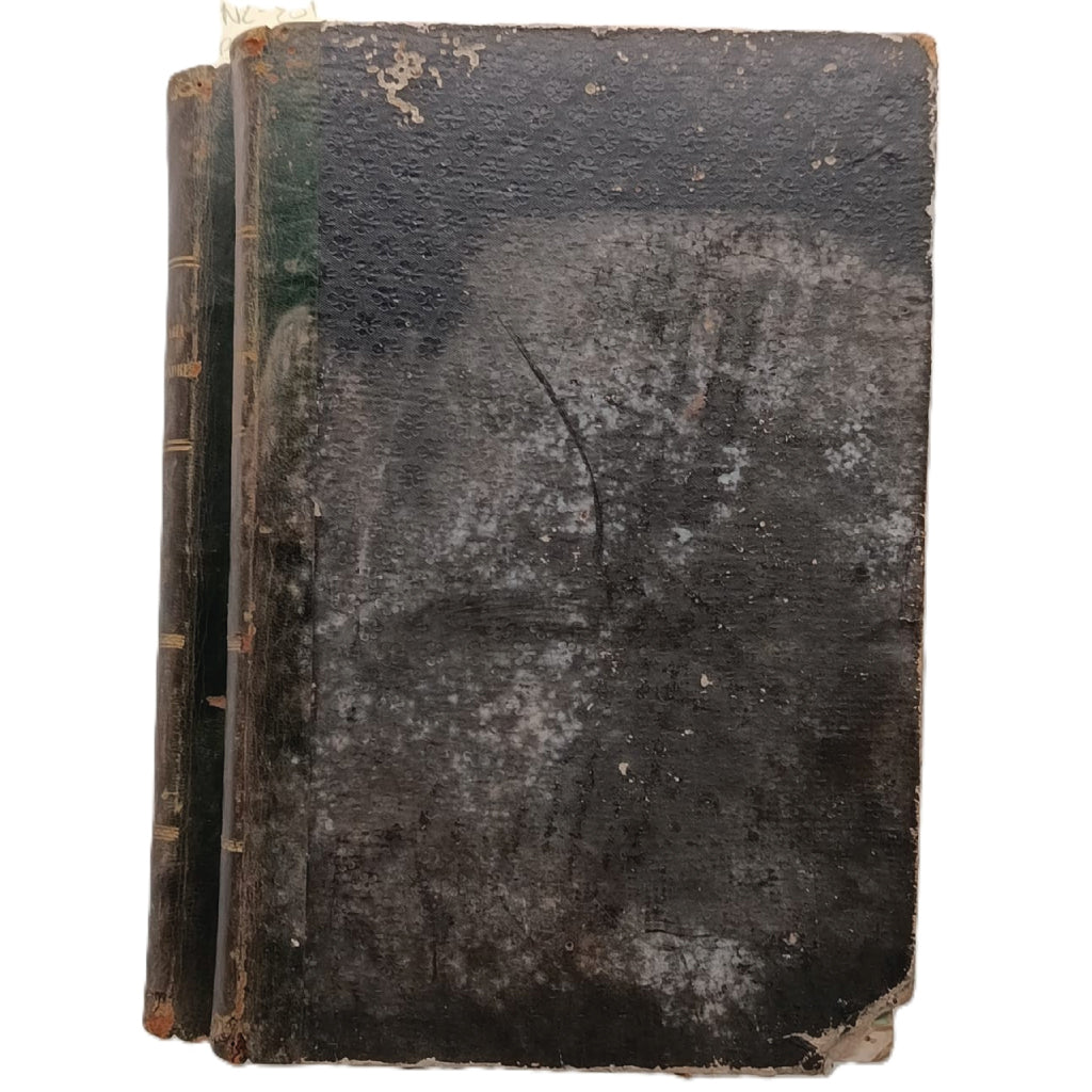 LA PLEGARIA DE UNA MADRE (Consuelos de la religión). Tomos I y II. Puerta Vizcaíno, Juan de la