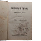 LA PLEGARIA DE UNA MADRE (Consuelos de la religión). Tomos I y II. Puerta Vizcaíno, Juan de la