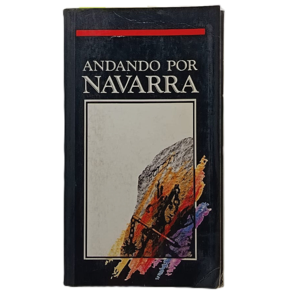 ANDANDO POR NAVARRA