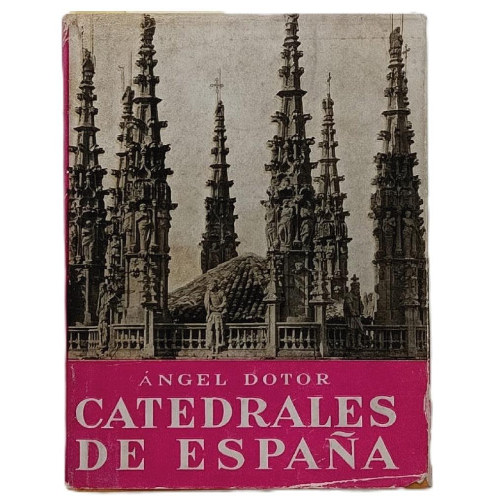 CATEDRALES DE ESPAÑA. Dotor, Ángel