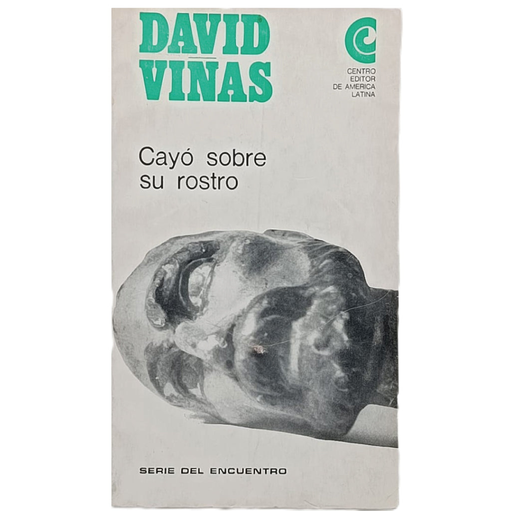 CAYÓ SOBRE SU ROSTRO. Viñas, David