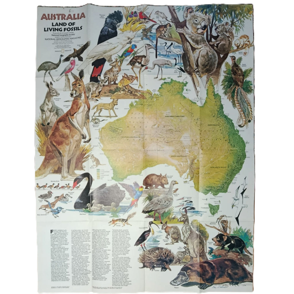 NATIONAL GEOGRAPHIC: AUSTRALIA & AUSTRALIA LAND OF LIVING FOSSILS