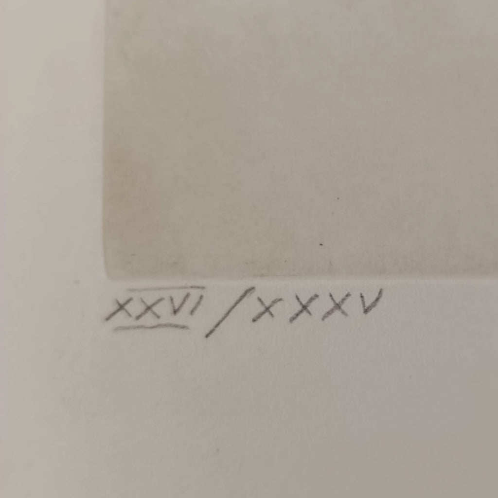 ÁLVARO DELGADO: RETRATO DE S.M. EL REY JUAN CARLOS I - GRABADO ORIGINAL- EDICIÓN 35 EJEMPLARES