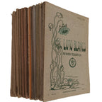 LOTE 27 EJEMPLARES: REVISTA TEOSÓFICA "EL LOTO BLANCO" (1917-1932)