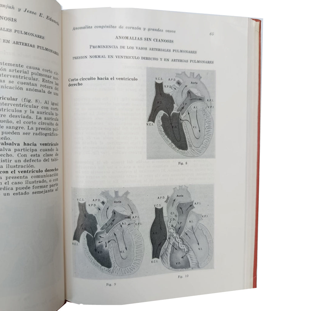 CONSULTOR PEDAGÓGICO (7 TOMOS + PRÁCTICAS DE MATEMÁTICAS). COMPLETO