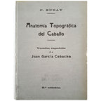 ANATOMÍA TOPOGRÁFICA DEL CABALLO. Rubay, P.