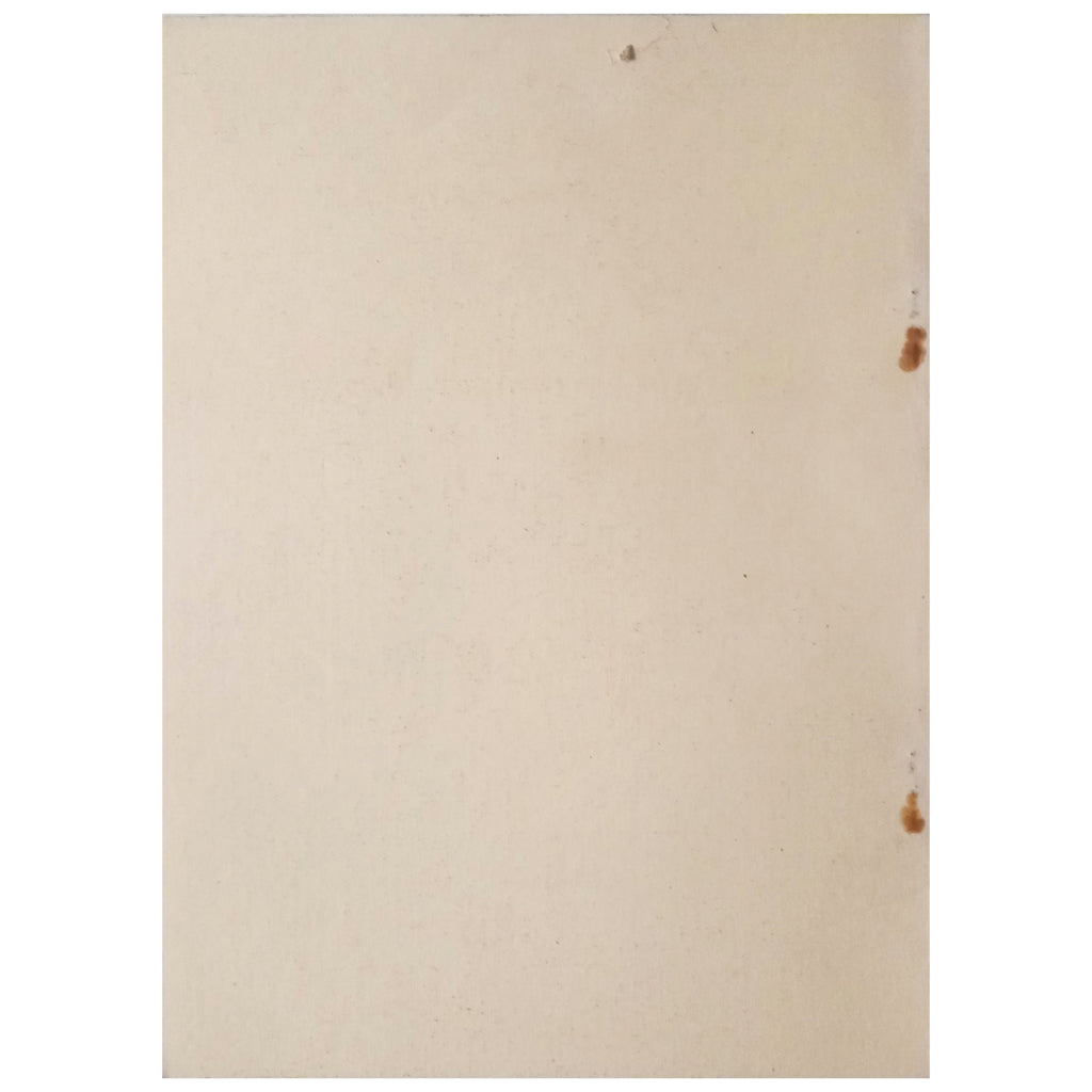 LUGO BAJO EL IMPERIO ROMANO. Vázquez Seijas, Manuel