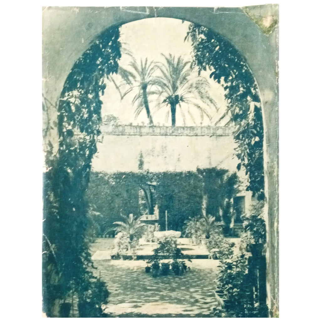 ¡SEVILLA! Pérez Olivares, Rogelio
