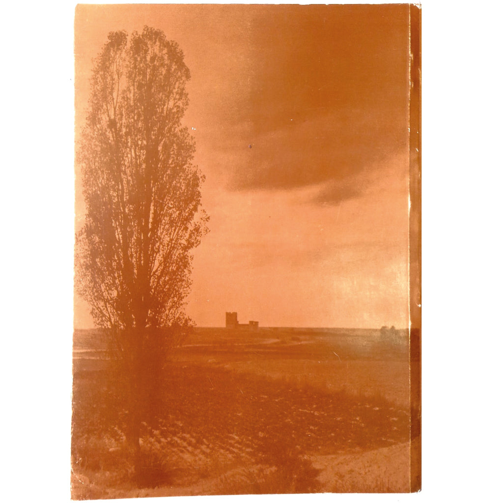 ANGELUS EN CASTILLA. Yñigo de Toro, María Teresa