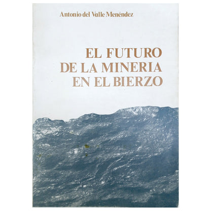 THE FUTURE OF MINING IN EL BIERZO. Valle Menendez, Antonio de